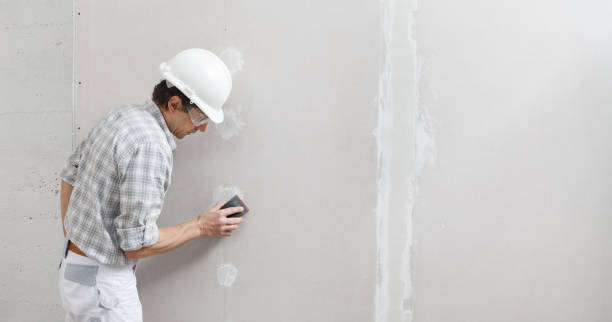 Best Water-Damaged Drywall Repair  in Fish Hawk, FL