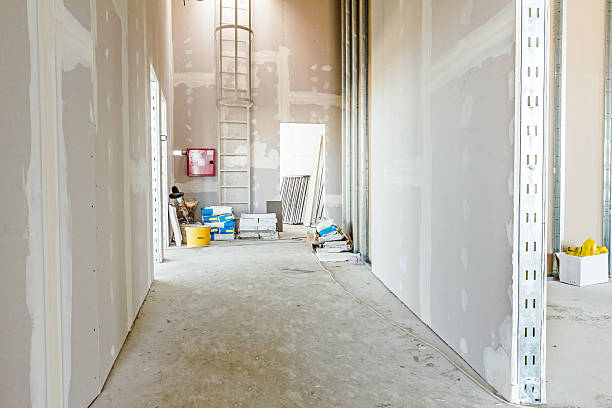 Best Drywall Removal and Disposal  in Fish Hawk, FL